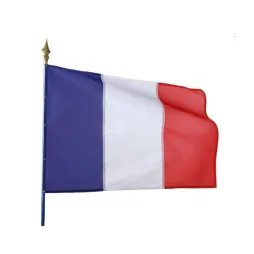 Visuel du drapeau tricolore sur hampe - Leader Equipements
