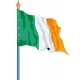 Visuel du Drapeau officiel de l'Irlande cloué sur hampe - Leader Equipements