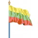 Visuel du Drapeau officiel de la Lituanie cloué sur hampe - Leader Equipements