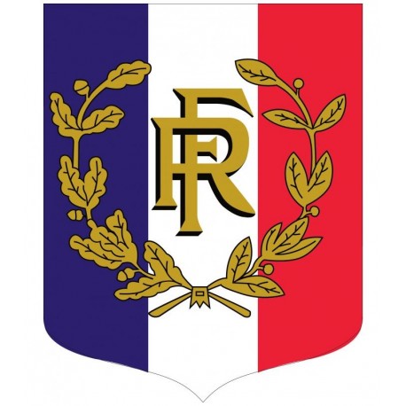 Visuel de l'Écusson porte-drapeaux Tricolore RF et Palmes éco - Leader Equipements