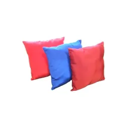 Coussins d'inauguration