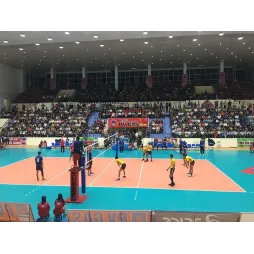 Poteaux de volley de compétition