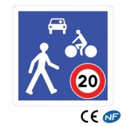 Panneau de route indiquant une zone de rencontre entre différents types de véhicules et piétons
