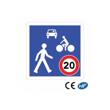 Panneau de route indiquant une zone de rencontre entre différents types de véhicules et piétons