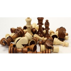 Lot de 32 pièces d'échecs