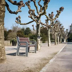 Banc de ville spécial sénior