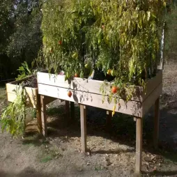 Table potagère grandes dimensions - Jardinière en bois