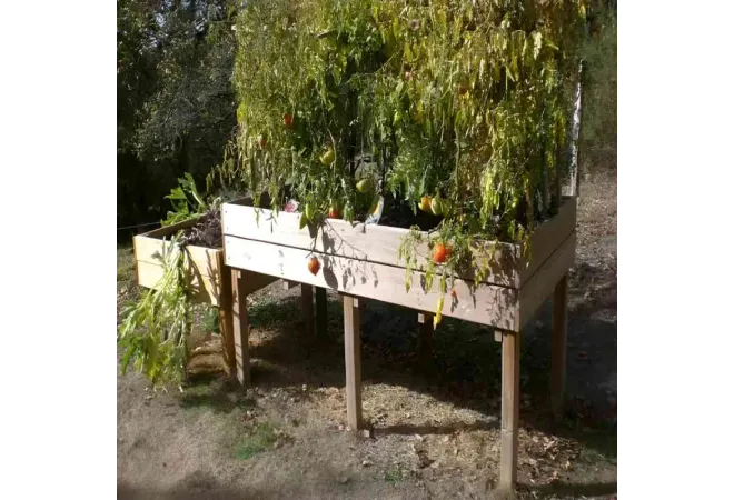 Table potagère grandes dimensions - Jardinière en bois