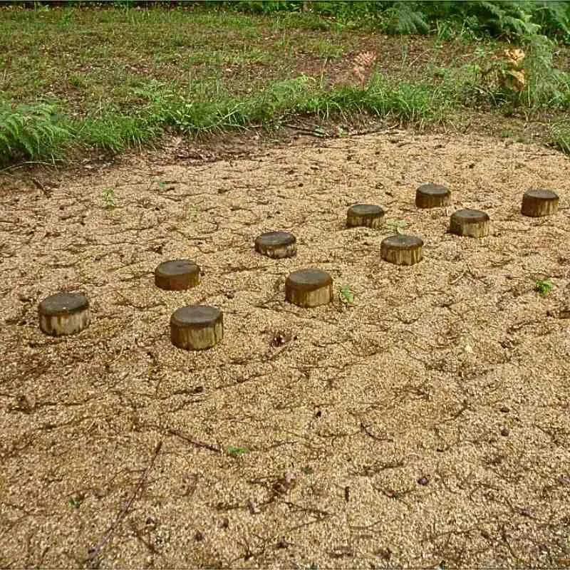 Module parcours sportif - Équipement sportif en bois