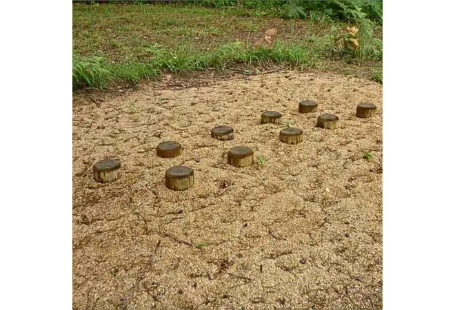 Module parcours sportif - Équipement sportif en bois