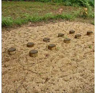 Module parcours sportif - Équipement sportif en bois