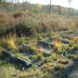 Module en bois "Rondins à sauter" pour parcours de santé plein air
