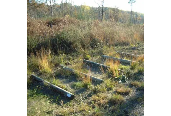 Module en bois "Rondins à sauter" pour parcours de santé plein air