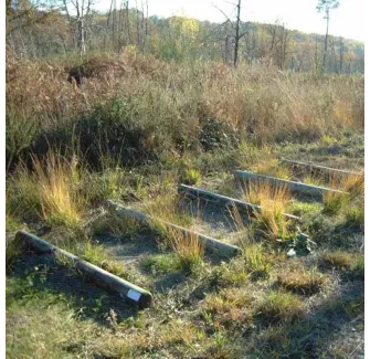 Module en bois "Rondins à sauter" pour parcours de santé plein air