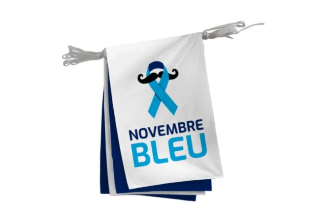 Guirlande de 20 fanions en tissu pour Novembre bleu