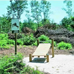 Atelier sportif en bois pour parcours sportif plein air