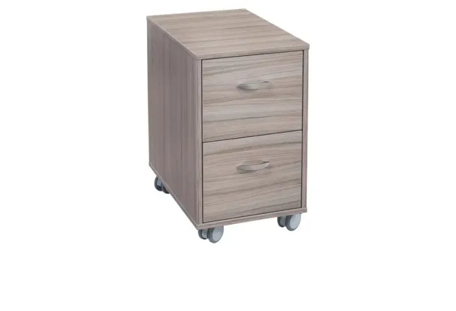 Caisson de bureau professionnel su roulettes 2 tiroirs