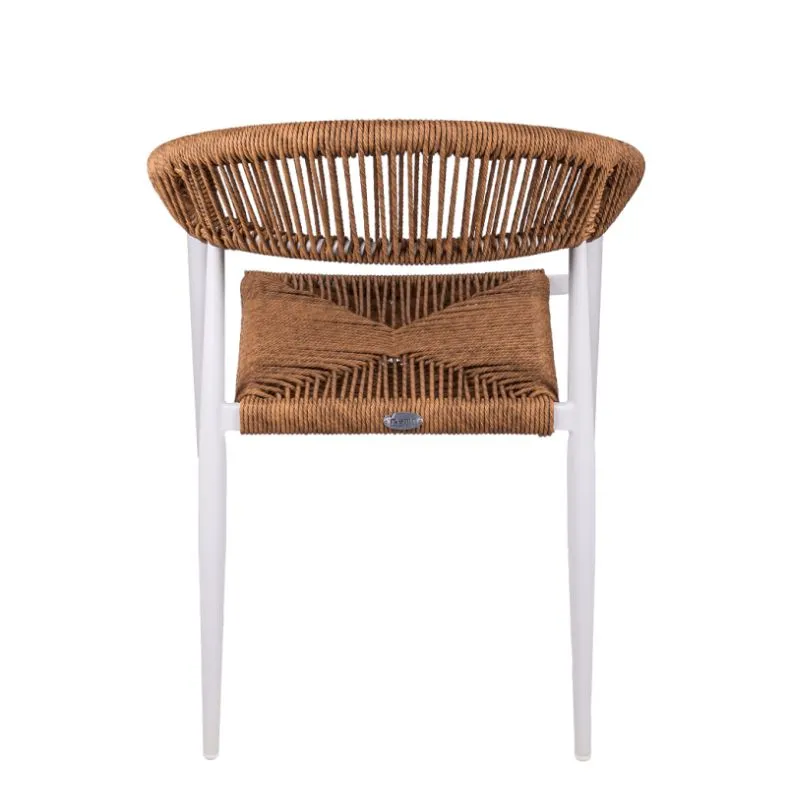 Fauteuil CHR extérieur vue dos Fauteuil CHR extérieur vue dos