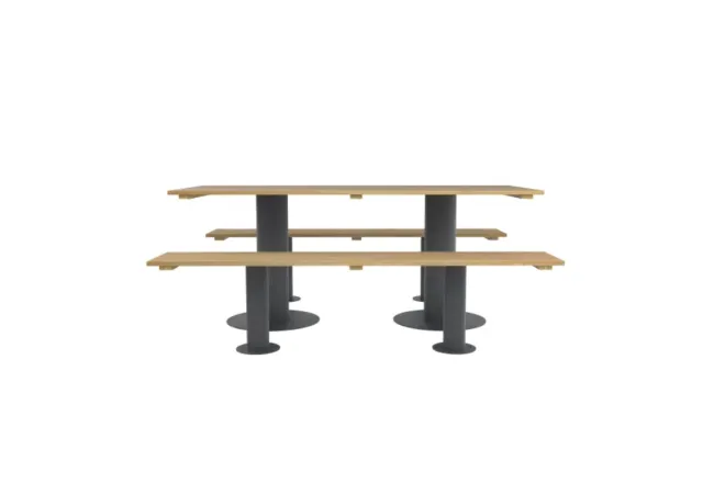 Table de jardin et 2 bancs en bois