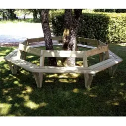 Banc contour d'arbre dans un jardin public