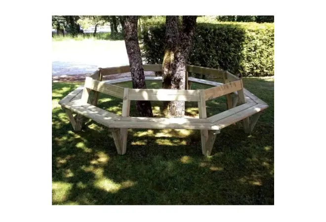 Banc contour d'arbre dans un jardin public