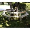 Banc contour d'arbre dans un jardin public