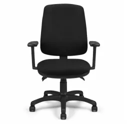Fauteuil de bureau professionnel ergonomique avec accoudoirs