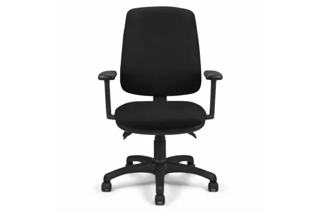 Fauteuil de bureau professionnel ergonomique avec accoudoirs