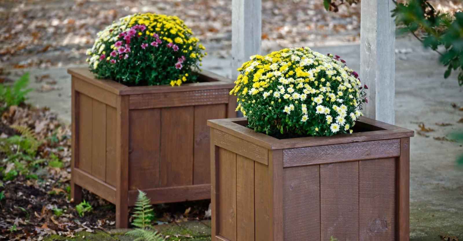 jardinière en bois pour collectivités