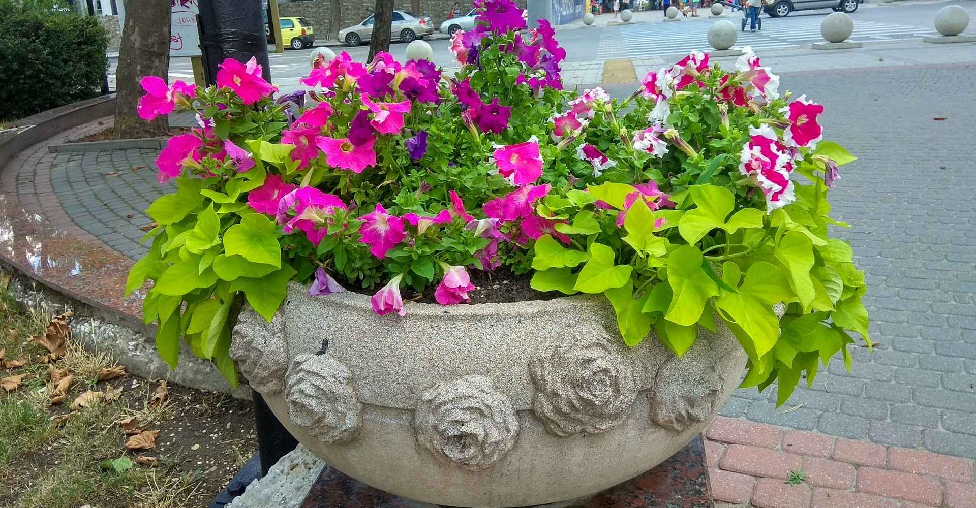 jardinière de rue en béton