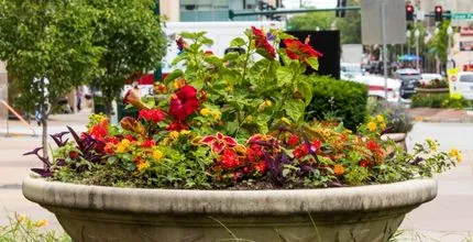 Verdir sa ville avec des jardinières urbaines : guide pratique pour les collectivités